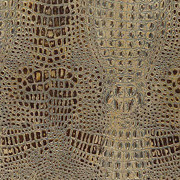Real Alligator Skin